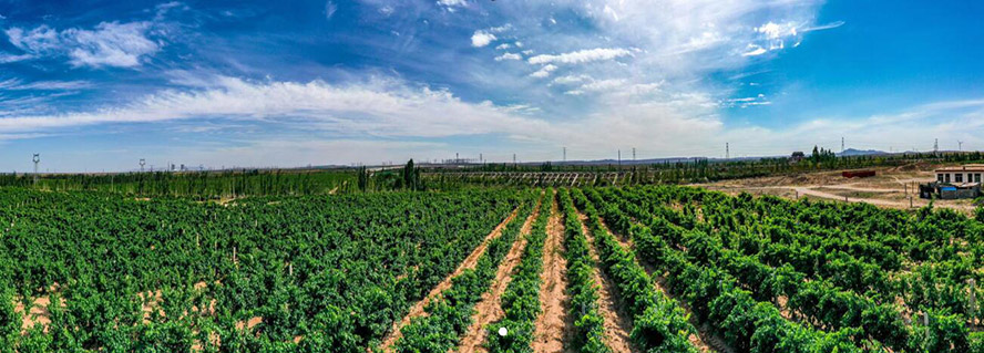     �������~�{�оS���ݾ��f���޹�˾���a(ch��n)Ʒ����������