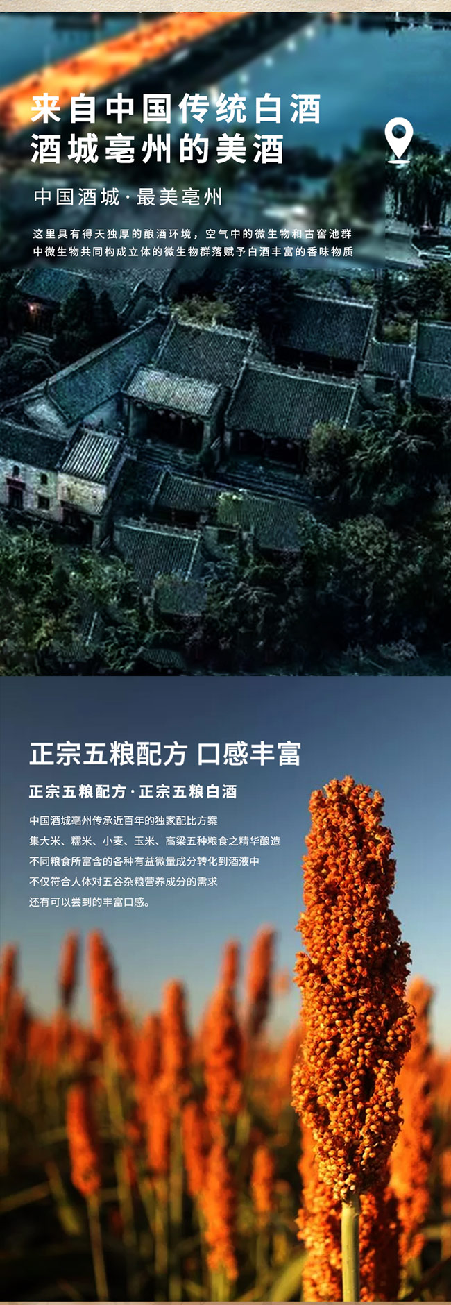 �|�hؕ�Ɲ����Ͱ׾ơ�52��500ml��