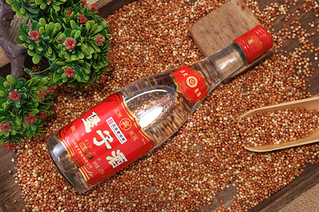 ���Ӿ���6